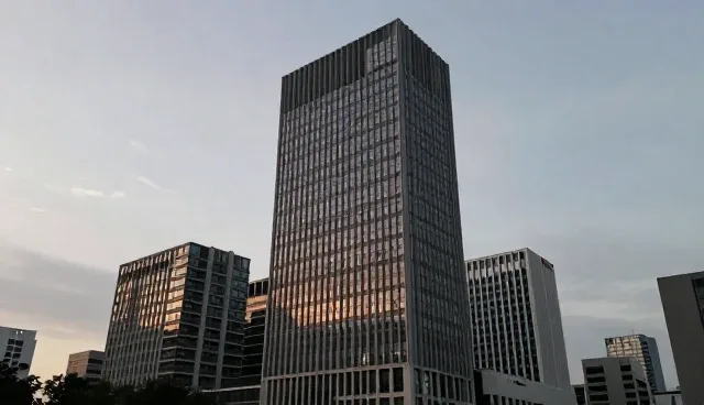 商务考察接待规模如何影响流程安排
